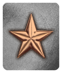 DF35-430-BZ-SL Star Bronze-Silver